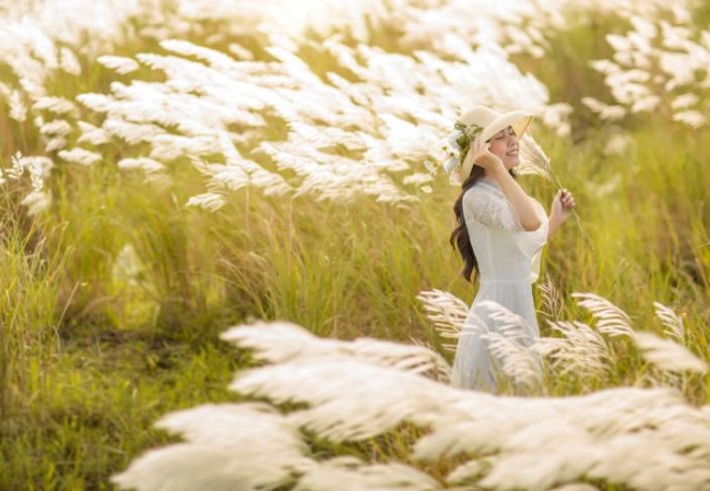 Mùa cỏ lau Đà Nẵng: Bản tình ca dịu dàng chân cầu Thuận Phước